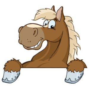 RAKKs poengcup 2017 starter!